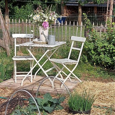 Widdingenhof Bed and Breakfast Wellen Eksteriør billede